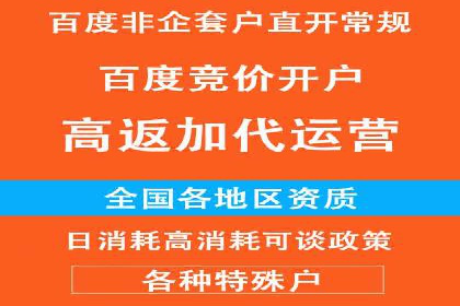 百度竞价托管公司成功案例：打造行业领先品牌